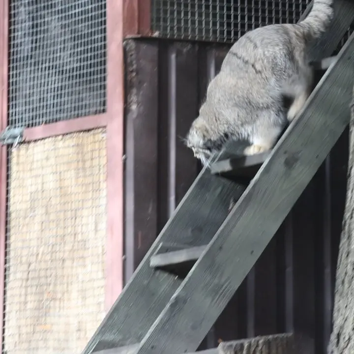 A photograph of Timofey in Moscow zoo