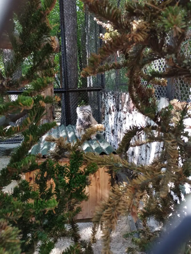 A photograph of Zelenogorsk in Novosibirsk Zoo