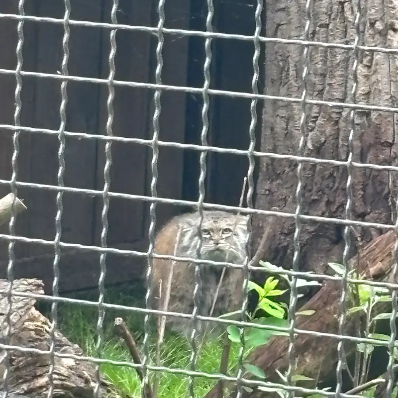 A photograph of Jessie in Warsaw Zoo