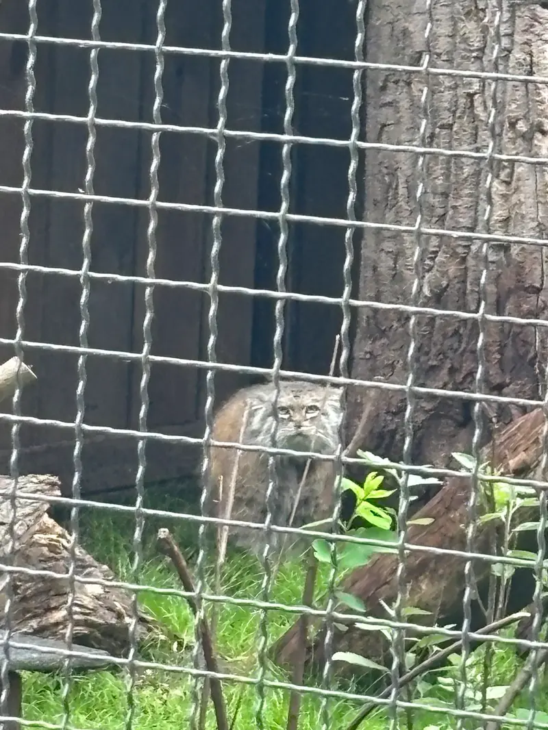A photograph of Jessie in Warsaw Zoo