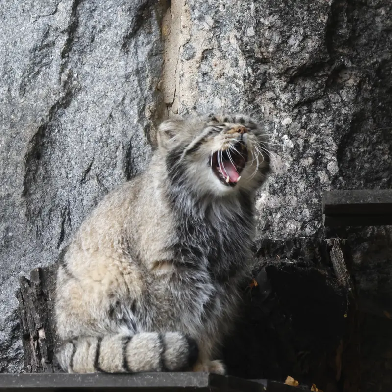 A photograph of Timofey in Moscow zoo