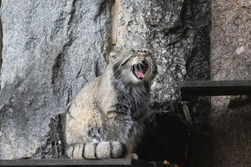 A photograph of Timofey in Moscow zoo