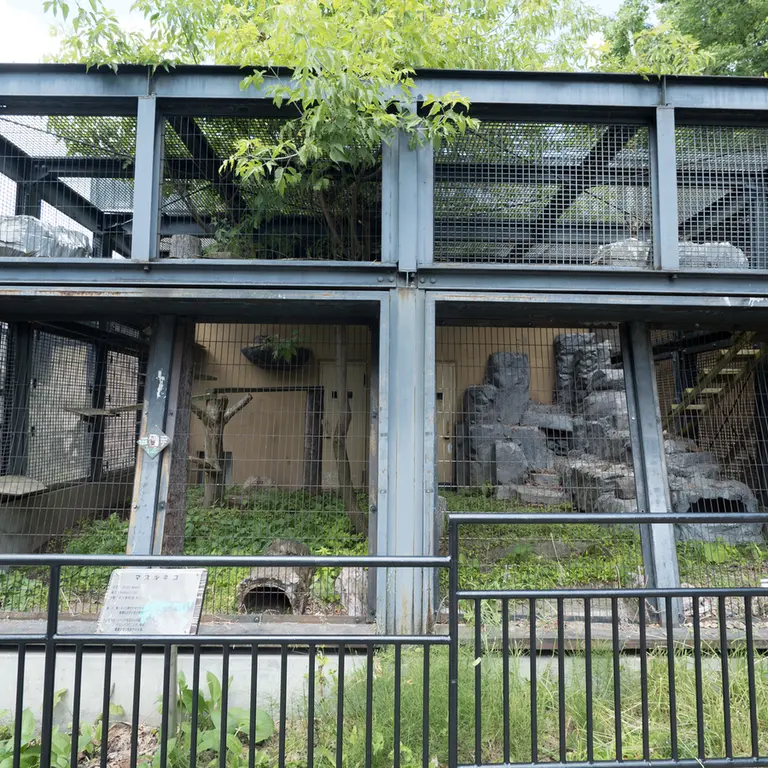 A photograph of Hide in Asahiyama Zoo