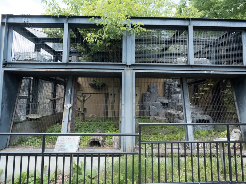 A photograph of Hide in Asahiyama Zoo