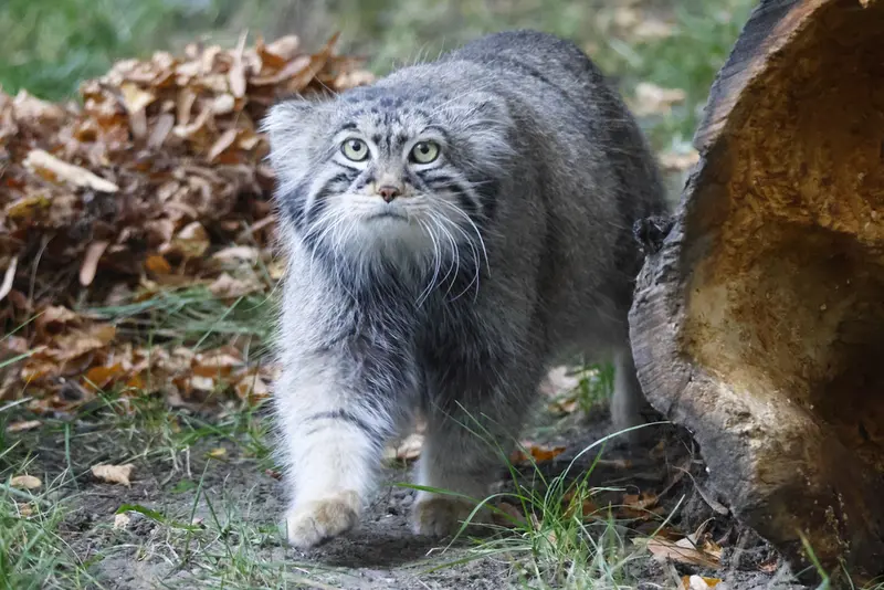 A photograph of Timofey in Moscow zoo