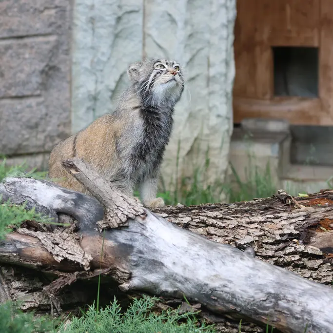 A photograph of Timofey in Moscow zoo