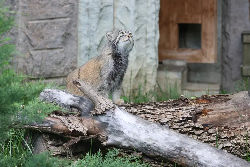 A photograph of Timofey in Moscow zoo