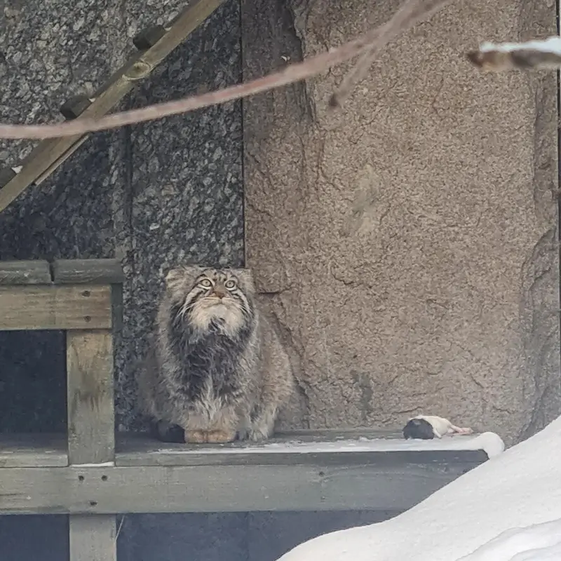 A photograph of Timofey in Moscow zoo