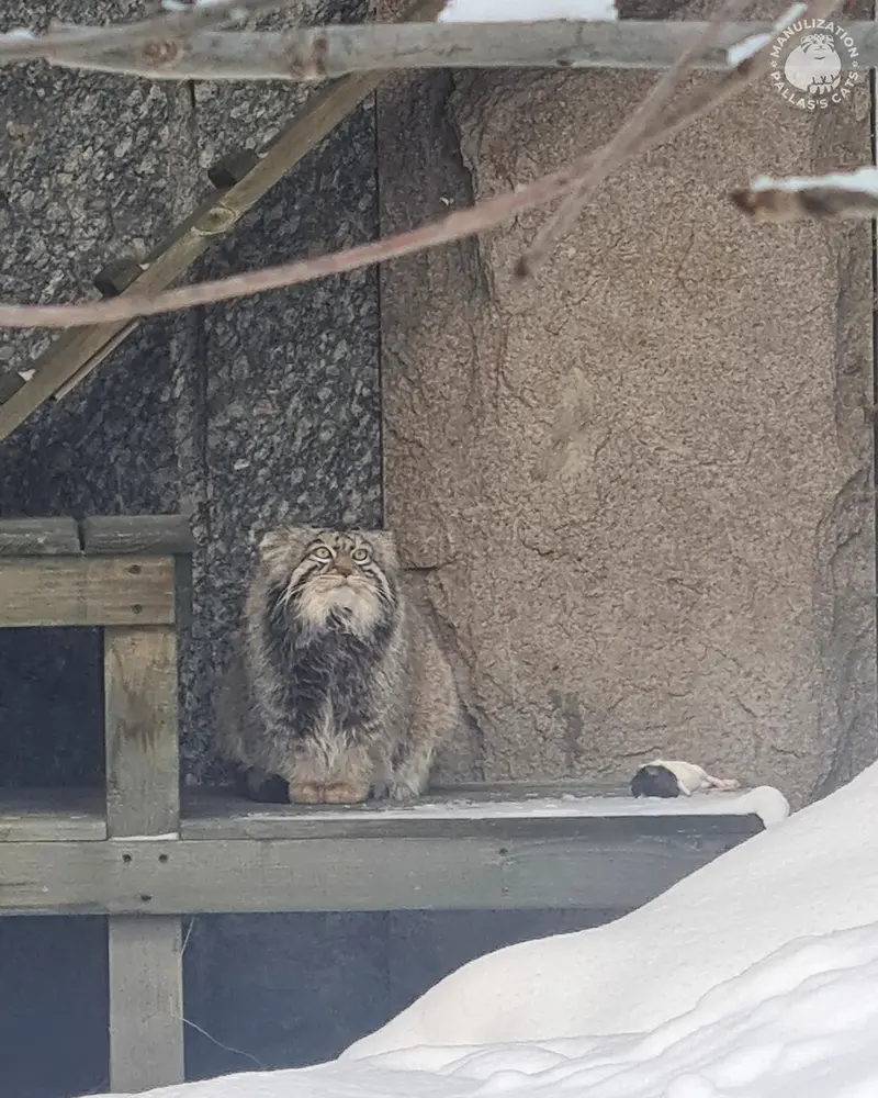 A photograph of Timofey in Moscow zoo