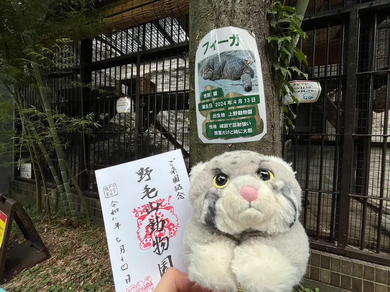 A photograph of Figa in Nogeyama Zoo