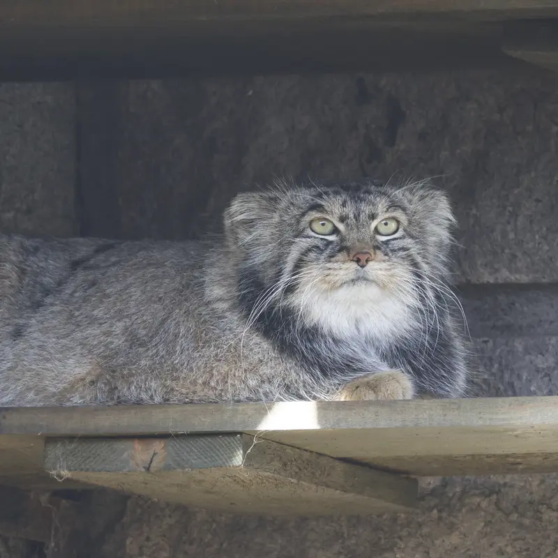 A photograph of Timofey in Moscow zoo