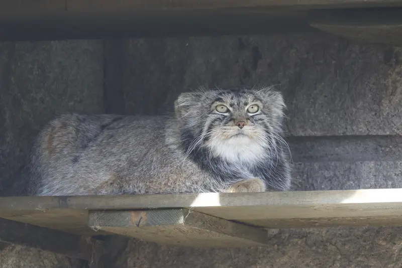 A photograph of Timofey in Moscow zoo
