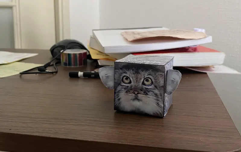 Does anyone have this manul box?