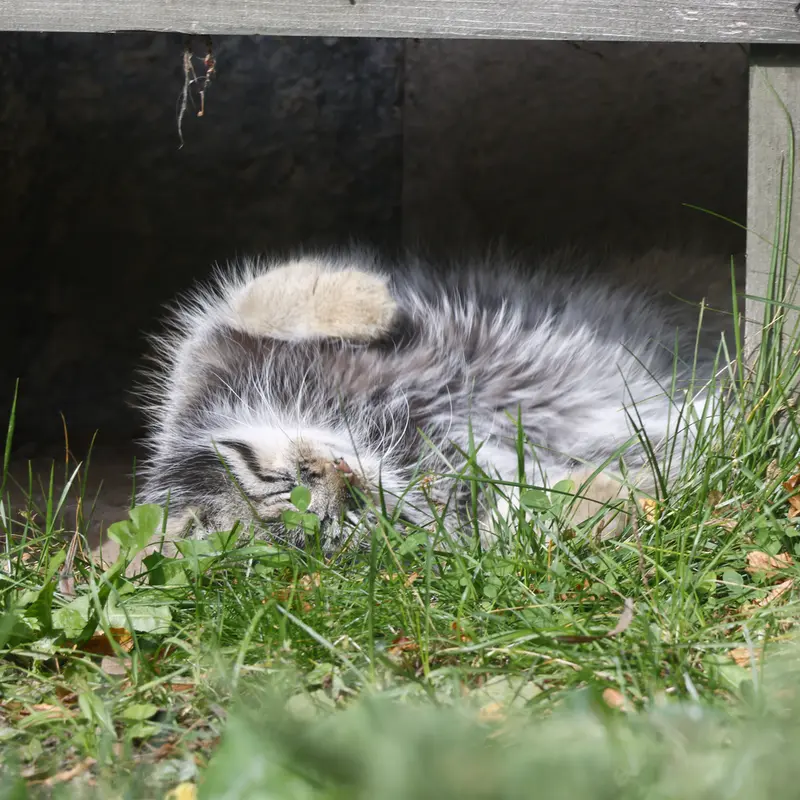A photograph of Timofey in Moscow zoo