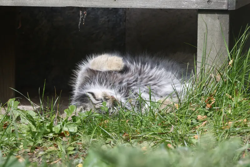 A photograph of Timofey in Moscow zoo