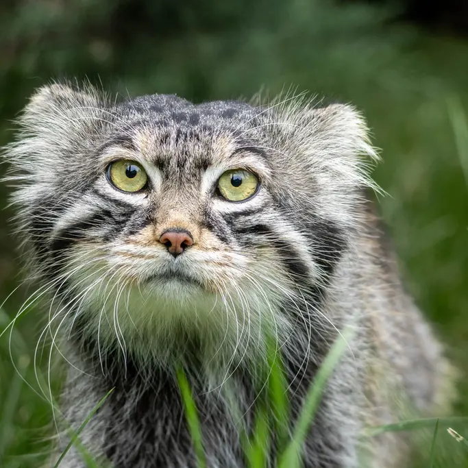 A photograph of Timofey in Moscow zoo