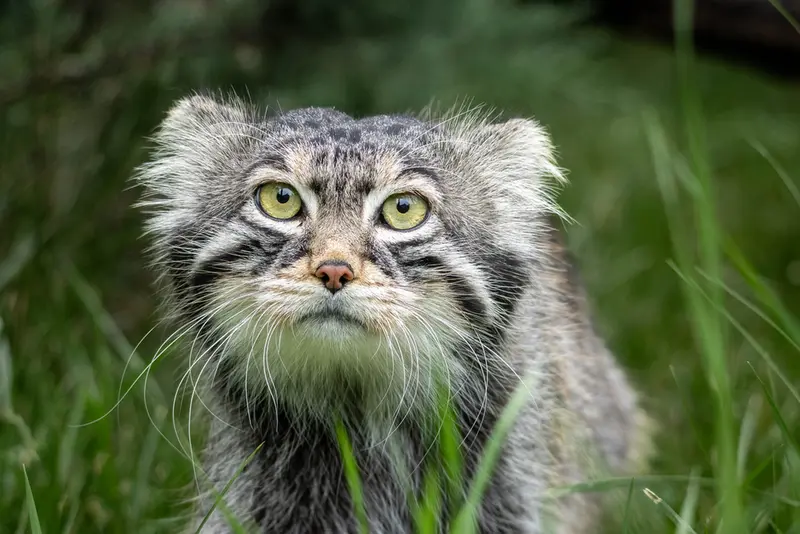 A photograph of Timofey in Moscow zoo