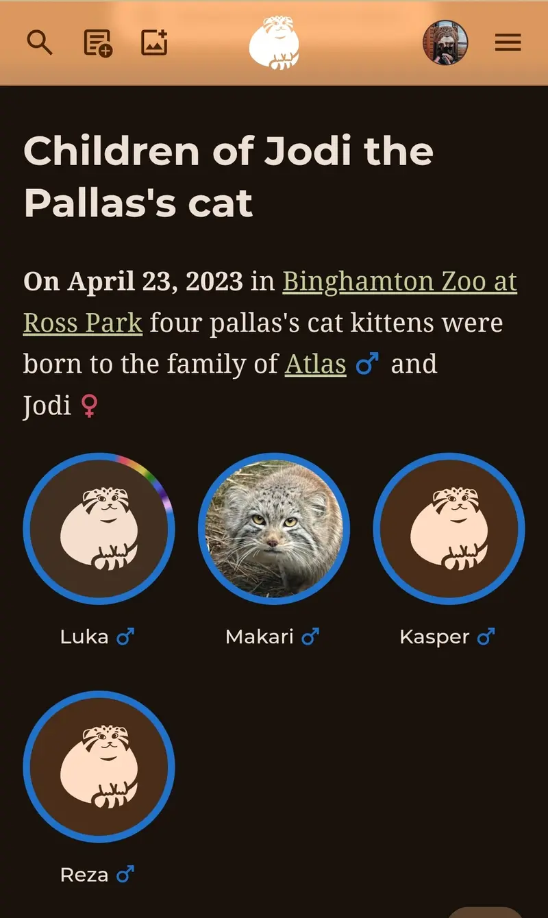 A photograph of a Pallas's cat