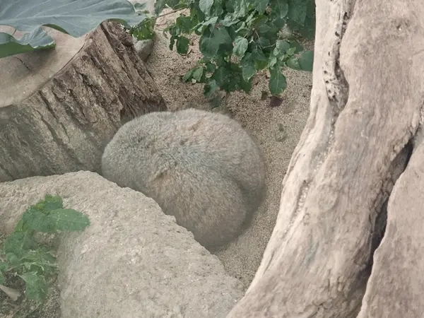 Just rocks, scroll on by