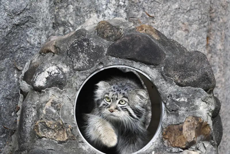 A photograph of Timofey in Moscow zoo