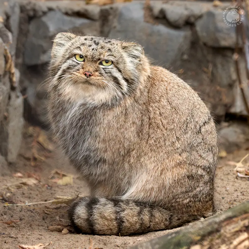 A photograph of Violetta in Novosibirsk Zoo