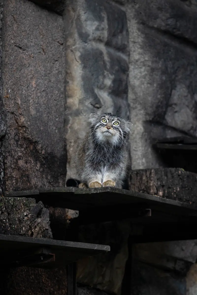 A photograph of Timofey in Moscow zoo