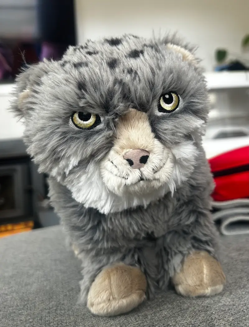 Manul IKEA plushie (In Australia!!!!)