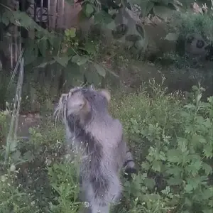 A photograph of Timofey in Moscow zoo
