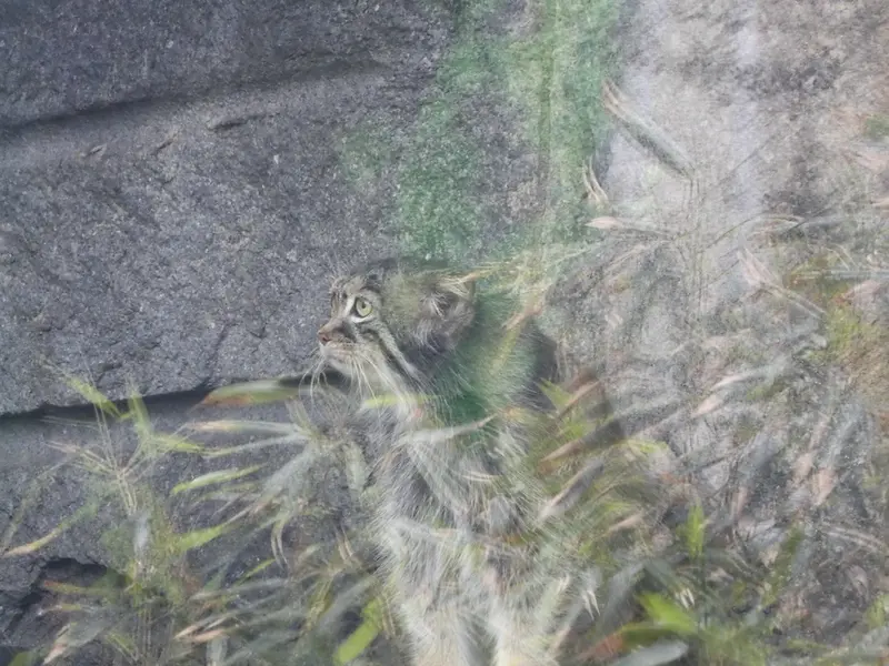 A photograph of Timofey in Moscow zoo
