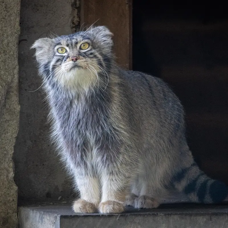 A photograph of Timofey in Moscow zoo