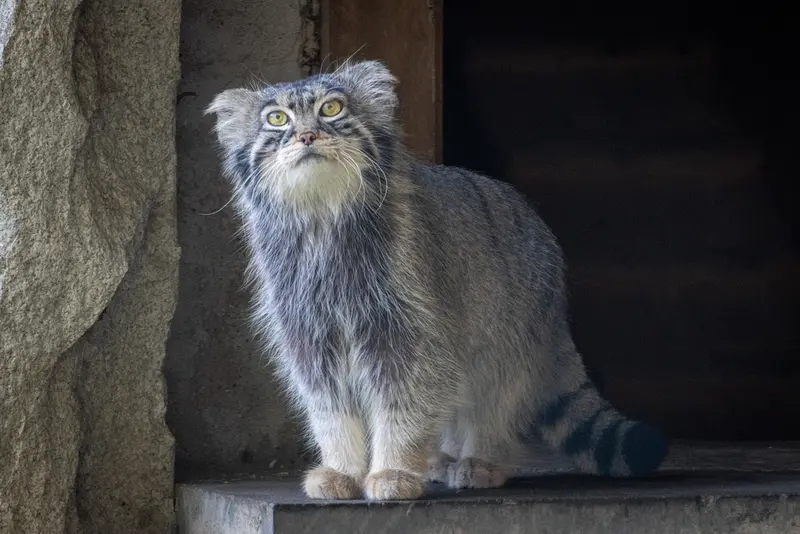 A photograph of Timofey in Moscow zoo