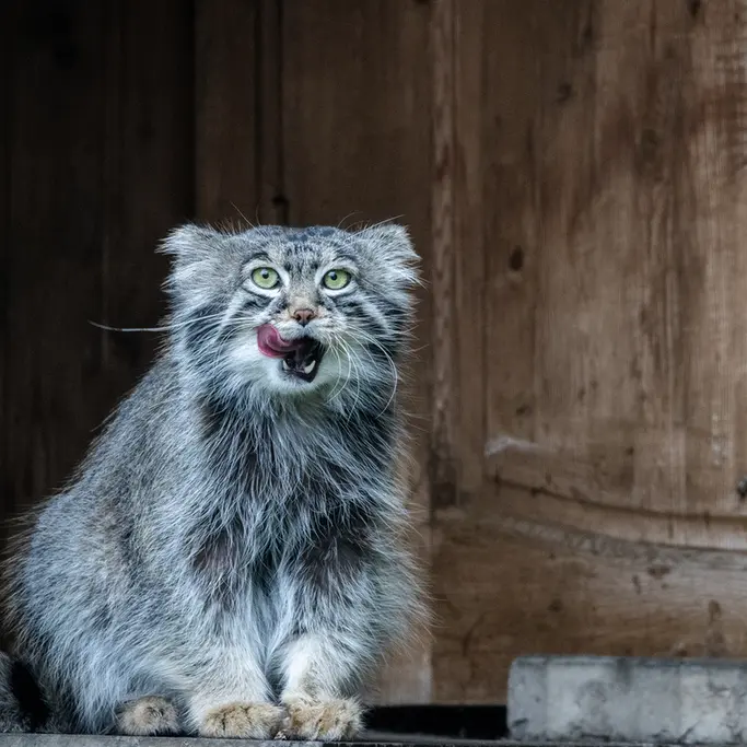 A photograph of Timofey in Moscow zoo