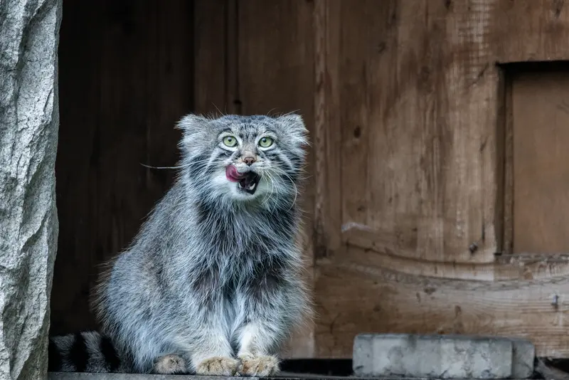 A photograph of Timofey in Moscow zoo