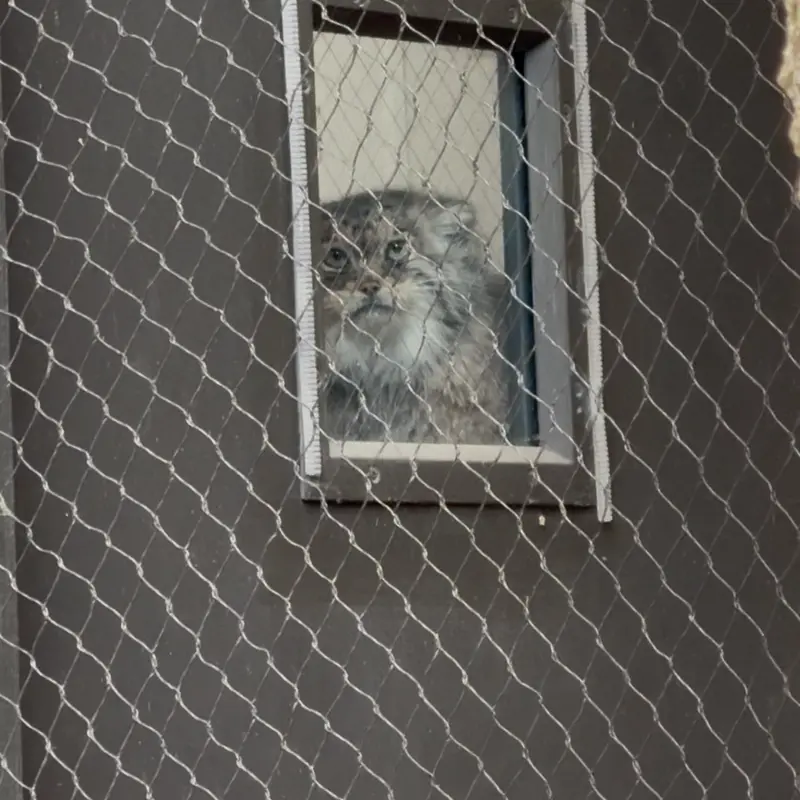 A photograph of Sarnai in Prospect Park Zoo