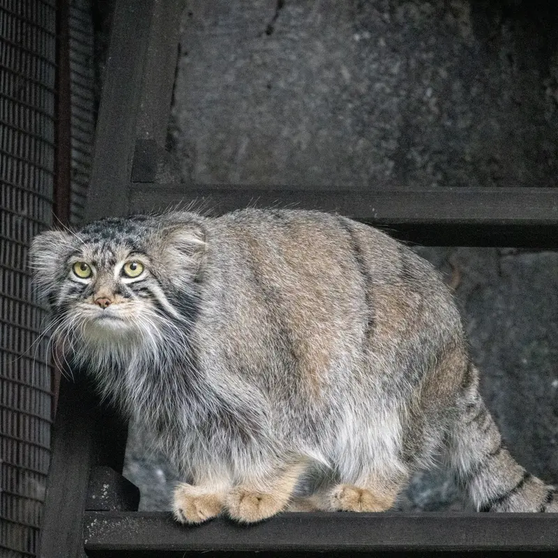 A photograph of Timofey in Moscow zoo