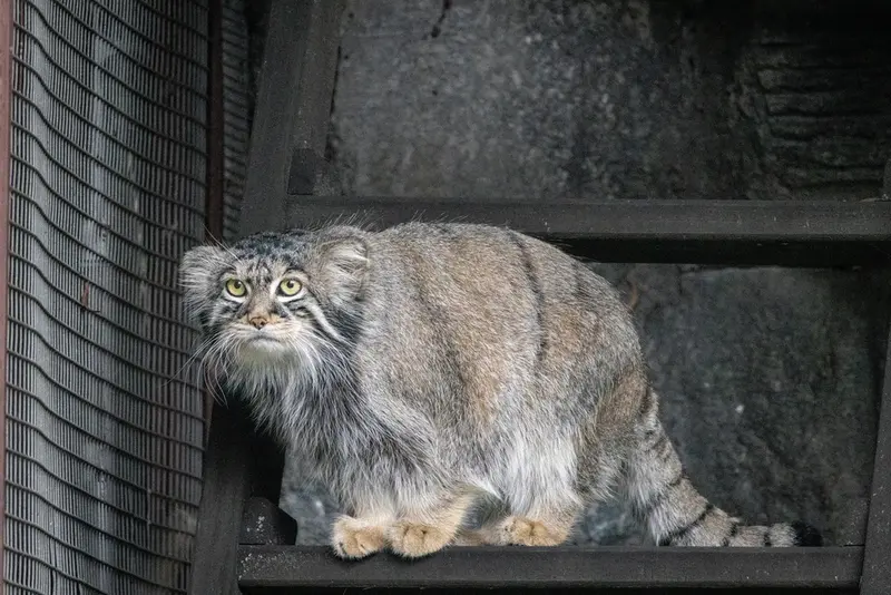A photograph of Timofey in Moscow zoo