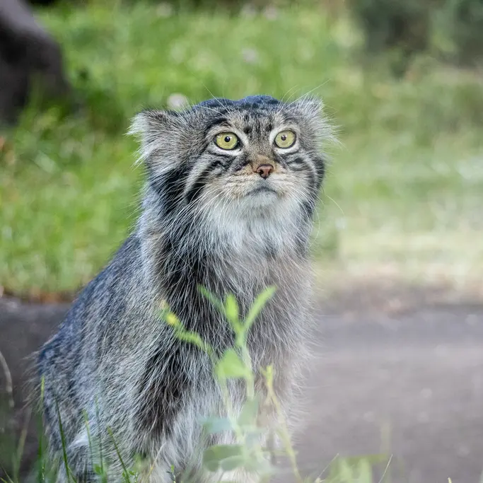 A photograph of Timofey in Moscow zoo