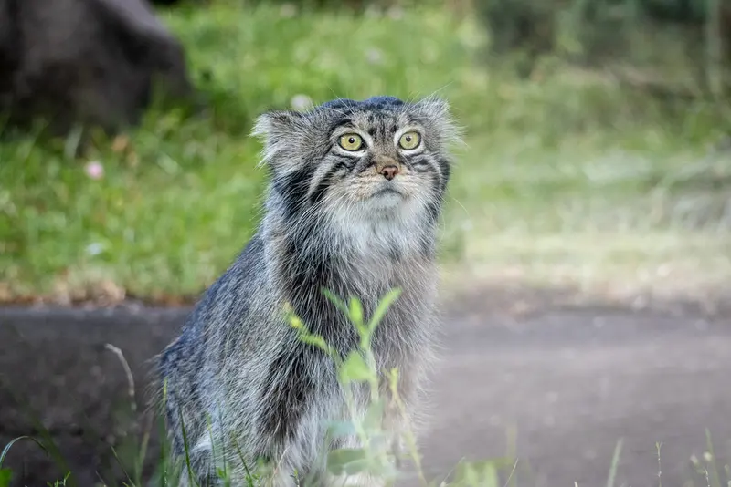 A photograph of Timofey in Moscow zoo