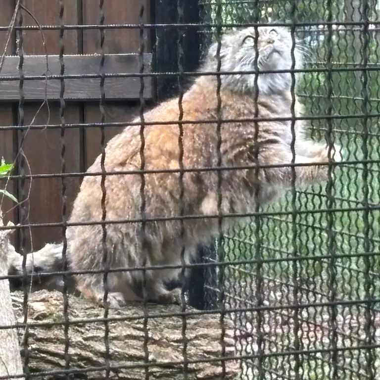 A photograph of Jessie in Warsaw Zoo