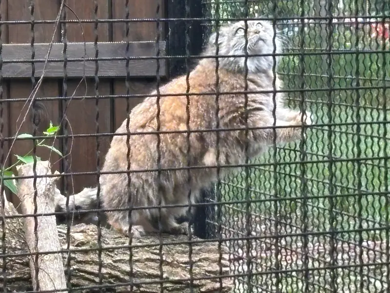 A photograph of Jessie in Warsaw Zoo