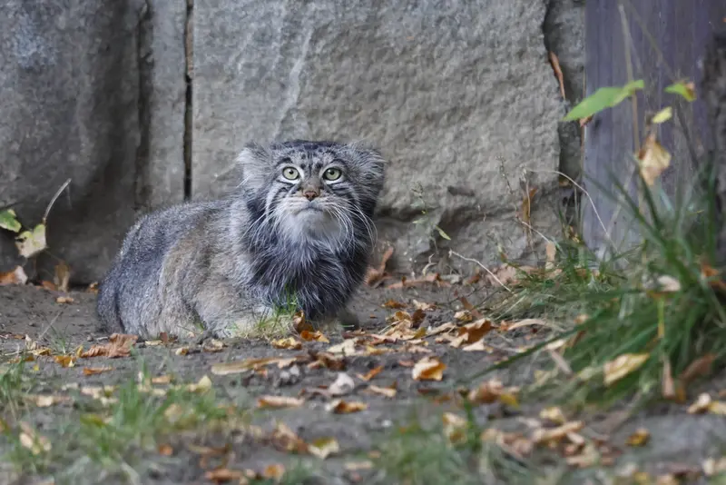 A photograph of Timofey in Moscow zoo