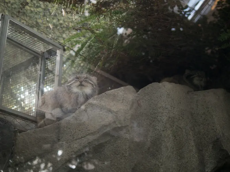 A photograph of Az and Oto in Kobe Animal Kingdom