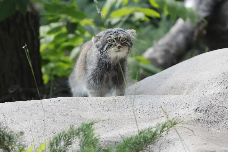 A photograph of Timofey in Moscow zoo