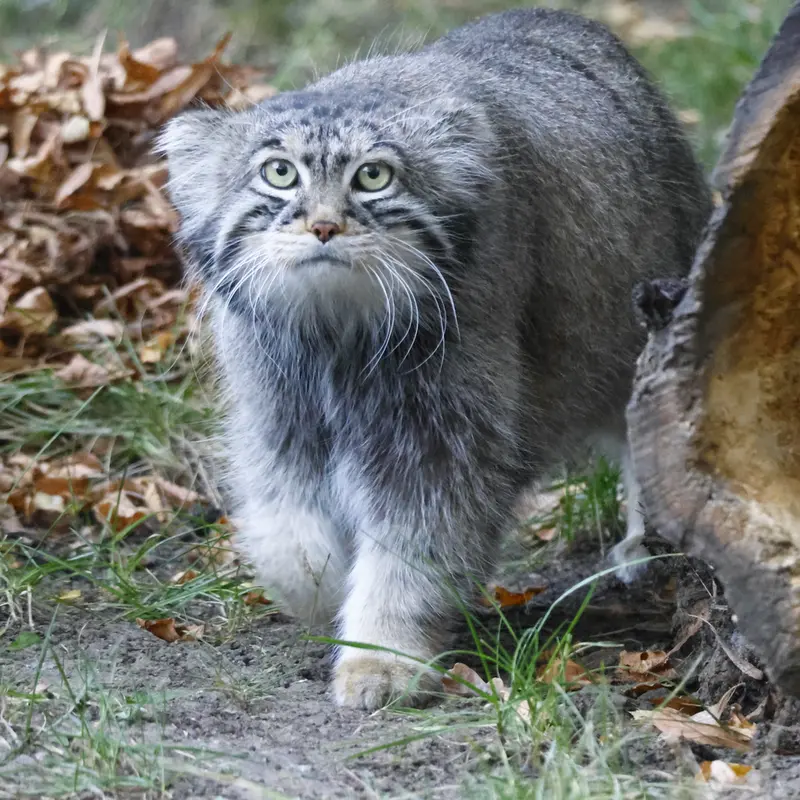 A photograph of Timofey in Moscow zoo