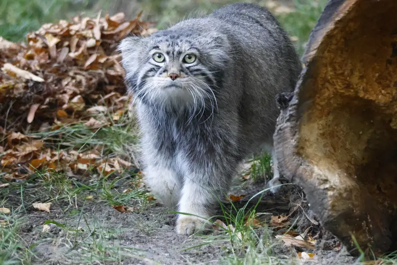 A photograph of Timofey in Moscow zoo