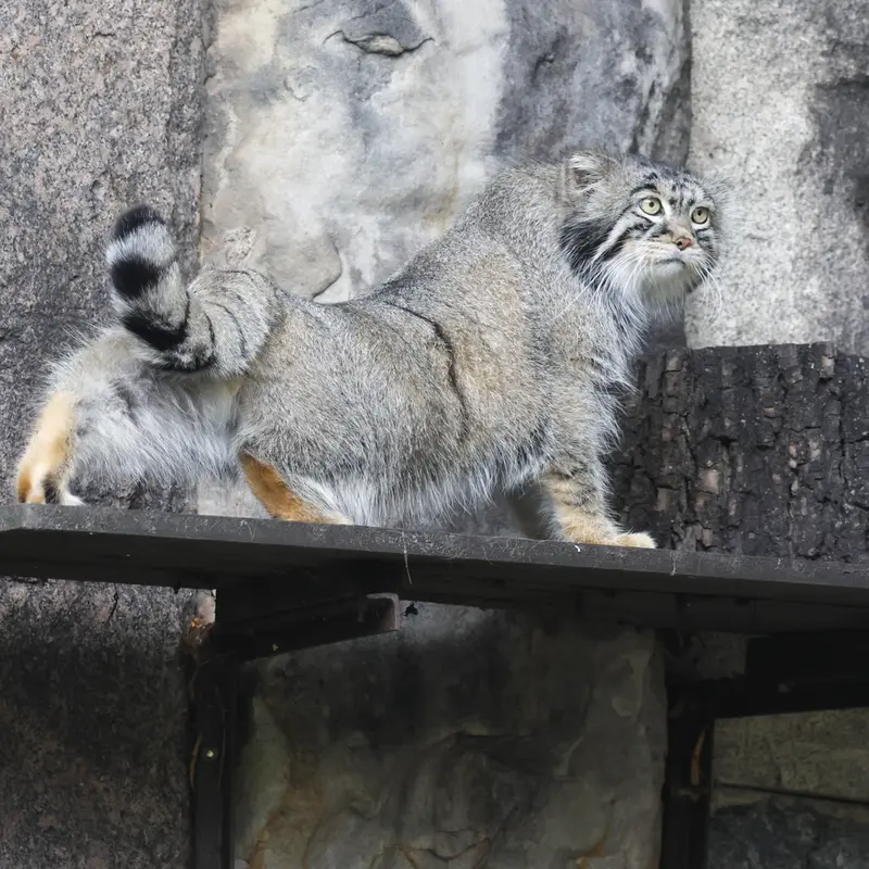 A photograph of Timofey in Moscow zoo