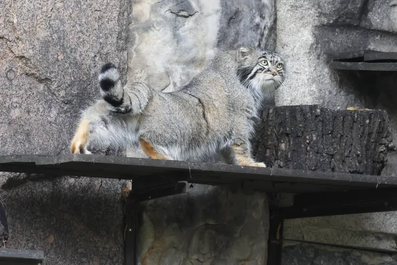 A photograph of Timofey in Moscow zoo