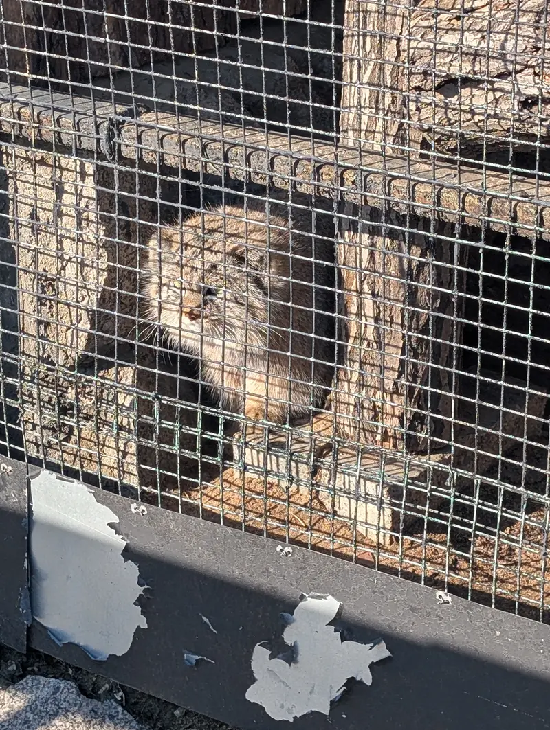 A photograph of Pepe in Leningrad zoo