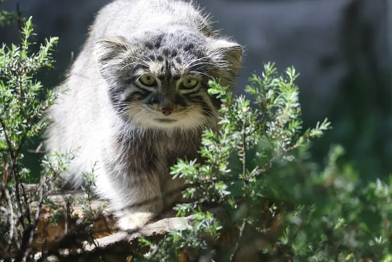 A photograph of Timofey in Moscow zoo