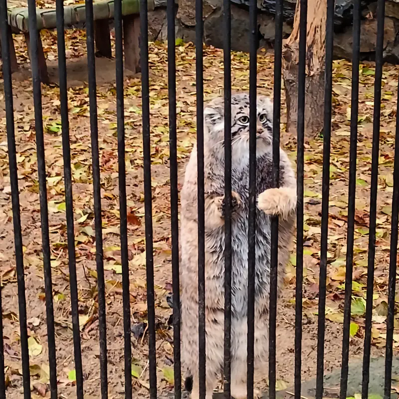 A photograph of Anya in Novosibirsk Zoo